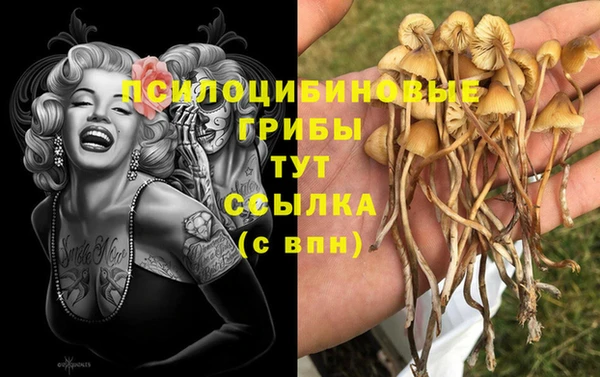 тгк Алексеевка