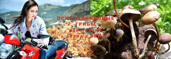 тгк Алексеевка