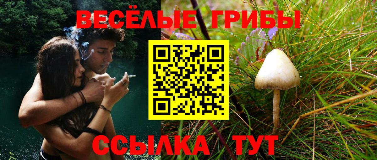 Лсд 25 Подольск