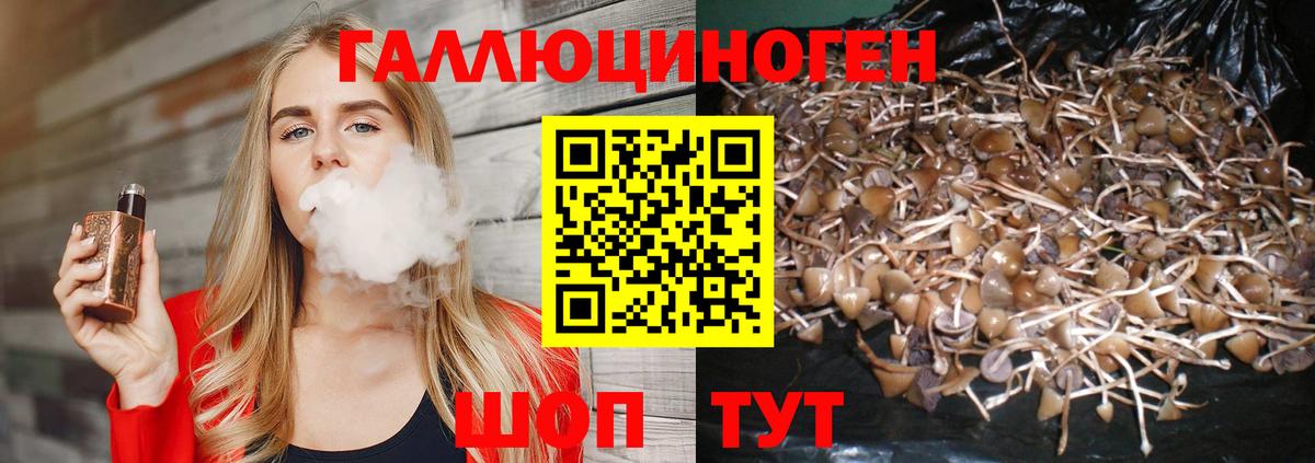 Галлюциногенные грибы прущие грибы Подольск
